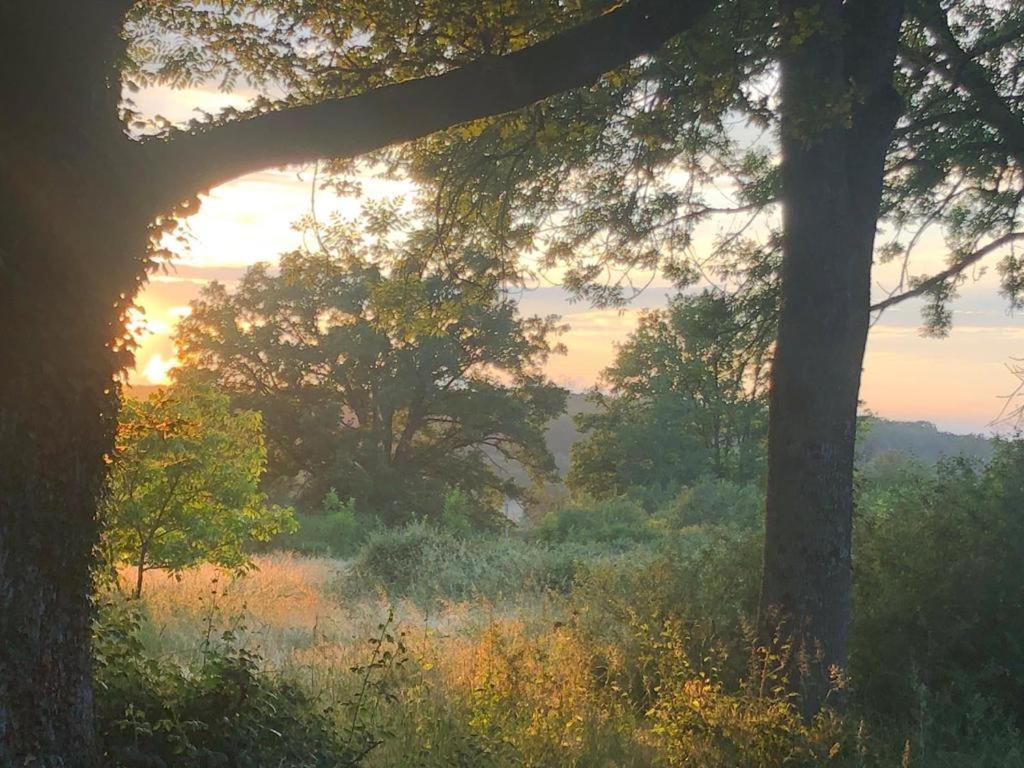 Domaine La Faix, Gite La Forestiere Saint-Plaisir Extérieur photo