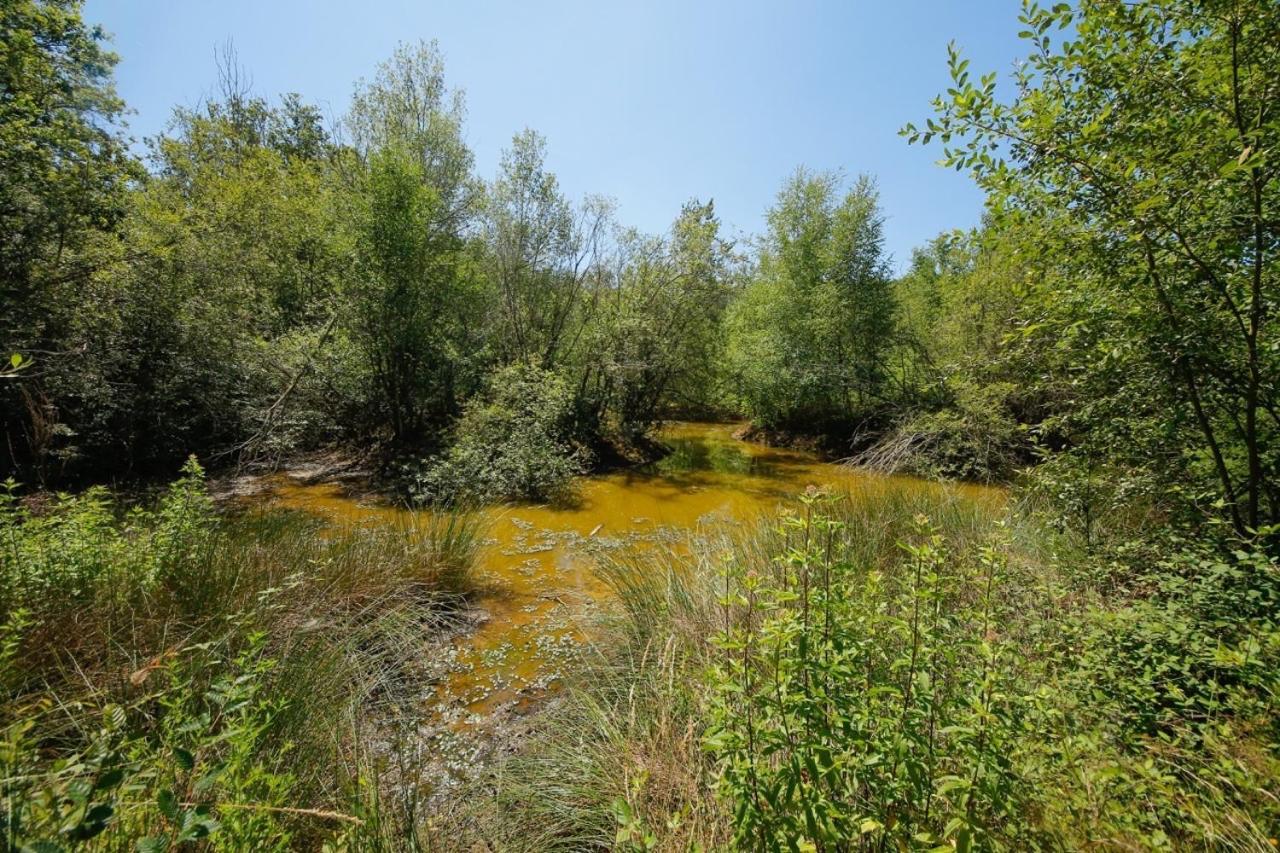Domaine La Faix, Gite La Forestiere Saint-Plaisir Extérieur photo