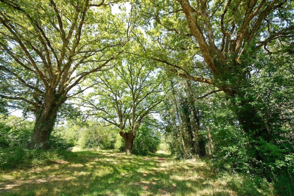 Domaine La Faix, Gite La Forestiere Saint-Plaisir Extérieur photo